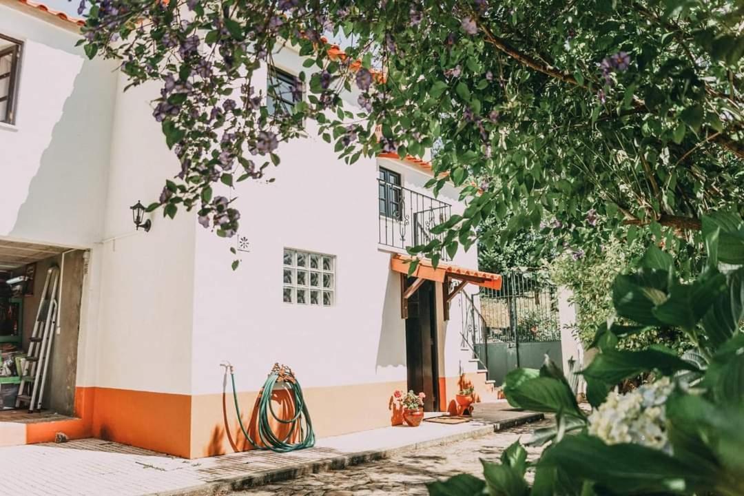 フィゲイロー・ドス・ヴィーニョス Casa Da Milharicaヴィラ エクステリア 写真