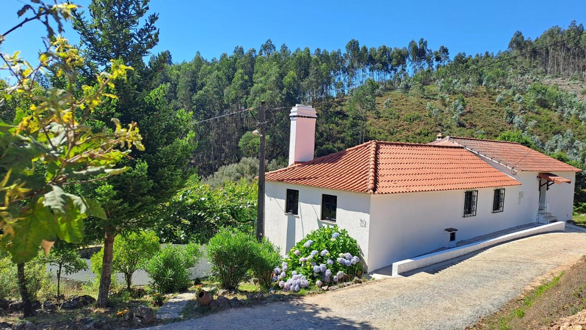 フィゲイロー・ドス・ヴィーニョス Casa Da Milharicaヴィラ エクステリア 写真